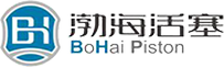 滨州活塞logo
